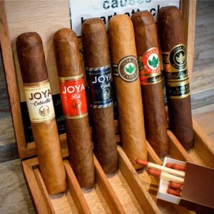 Joya de Nicaragua Robusto 6 premium cigar box and single cigar display. Buy Joya de Nicaragua Robusto 6 Cigars Online Worldwide