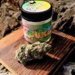 Whole Lotta Runtz premium cannabis buds Europe high quality