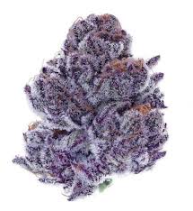 Purple White Widow
