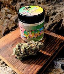 Whole Lotta Runtz premium cannabis buds Europe high quality