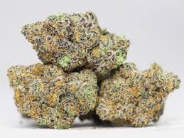 Mendo Breath Weed
