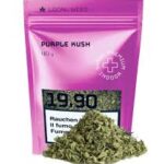 Purple Kush Shatter