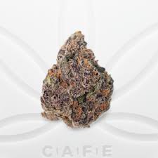 Grape Pie Strain