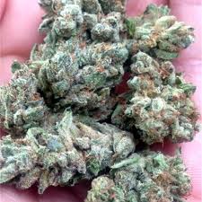 Ace Killer OG Strain