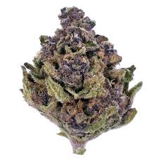 Granddaddy Purple