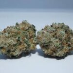 Bruce Banner Strain