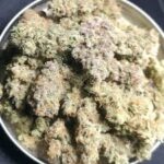 Mystic Blue Strain