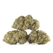 Alaskan Thunder Fuck